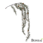 Plezalka borova 120cm - 101 do 150 cm
