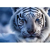 Dino - Puzzle Beli tiger - 1 000 kosov