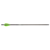Barnett Bolt Carbon Headhunter 22