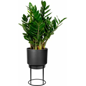 elho b.for studio rund 22cm - črna