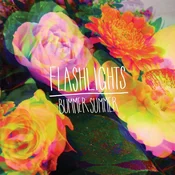 Flashlights - Bummer Summer (Limited Edition) (LP)