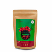 Guarana prah organski 100g