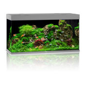 Juwel Rio 450 LED akvarij - siva