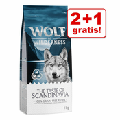 Little Wolf of Wilderness Junior - Green Fields - jagnjetina - 5 kg (5 x 1 kg)