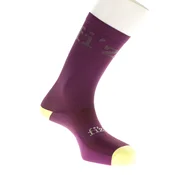 Fizik Team Edition Kolesarske nogavice