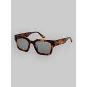 Billabong Weber Shiny Tortoise Sunglasses GREEN