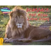 Scarface: The Real Lion King Gold Band