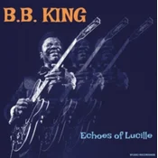 B.B. King - Echos Of Lucille (Limited Edition) (Orange Coloured) (LP)