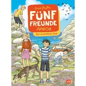 Fünf Freunde JUNIOR - Der unsichtbare Dieb