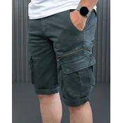 Denistar Muški šorts 100-2739-2, Regular, Zeleni