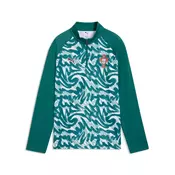 PUMA Portugal Warmup Quarter-Zip Top Youth, Football, Green Lagoon/Ruby Shimmer, 9-10Y