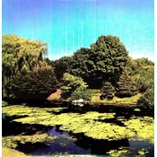 Shellac - Terraform (180 g) (LP)