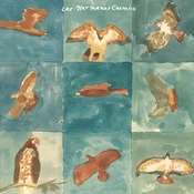 Los Hermanos Cosmico - Live at Pappy & Harriets (Limited Edition) (3 LP)