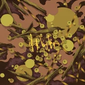 EF & Tiny Fingers - Vayu (Limited Edition) (LP)