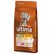 Ultima Medium/Maxi Adult govedina - Varčno pakiranje: 2 x 12 kg