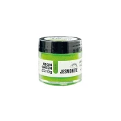 Jesmonite neonski pigmentni prah 10 g | Različni odtenki | Green