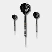 Steeldart puščice WINMAU | Gian van Veen TS | Switch Point