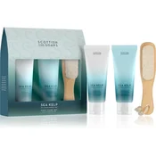 Scottish Fine Soaps Sea Kelp darilno pakiranje