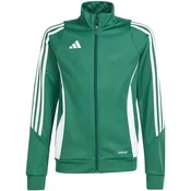 Dječja majica adidas Tiro 24 Training zelena IR7503 164cm