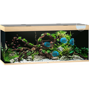 Juwel Rio 450 LED akvarij - svijetlo drvo