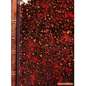 BILDER-ATLAS ZUM CONVERSATIONS-LEXIKON. Ikonographische Encyklopadie der Wissenschaften und Kunste Band 5. Plastik und Malerei, Sculptur.