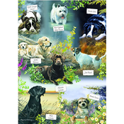 Otter House - Puzzle Mans Best Friend 1000 - 1 000 kosov