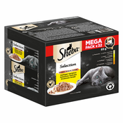 76 + 20 gratis! Sheba pladnji/vrečke 96 x 85 g - Selection in Sauce