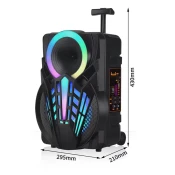 Bluetooth zvucnik karaoke set sa mikrofonom NDR-P08 crni