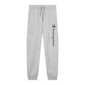 Champion Authentic Athletic Apparel Hlače siva/antracit