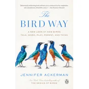 Bird Way