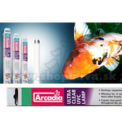 UV fluorescentna žarnica T8 – 55 W