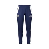ADIDAS PERFORMANCE Sportske hlace plava / bijela