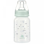 KikkaBoo flašica PP Savanna 120ml mint ( KKB22124 )