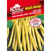 Seme Nizek fižol Berggold, 60g, Royal Seeds
