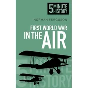 First World War in the Air: 5 Minute History