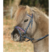 Waldhausen uzda Unicorn