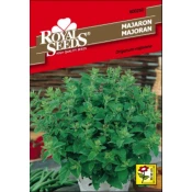SEME ROYAL SEEDS 260 Majaron
