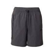 Nike Sportswear Hlače Tech temno siva