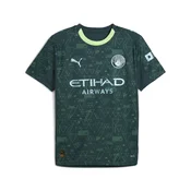 PUMA Manchester City 25/26 Fourth Jersey Men, Sport, Green Terrain, 3XL
