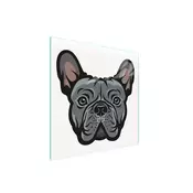 shumee STEKLENA ZAŠČITNA PLOŠČA ZA ŠTEDILNIK 50x52 DOG