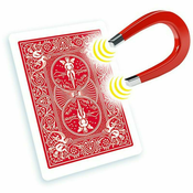 Bicycle Shim CardBicycle Shim Card