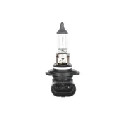 Sijalica 12V H10 42W BOSCH