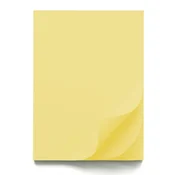 Papir šeleshamer b1 70x100 pastel er