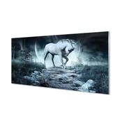 tulup.si Slika na akrilnem steklu Forest unicorn luna 120x60 cm 4 obešalnika