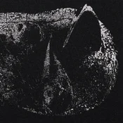 Demon Head - Viscera (Limited Edition) (180 g) (LP)