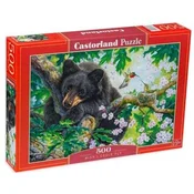 Castorland Puzzle Želim si, da bi letel 500 kosov