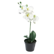 Dekordom Cvet u saksiji orchid 35cm 51345-0 - white - nnt ( 040065 )