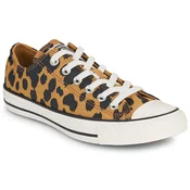 Converse CHUCK TAYLOR ALL STAR COW PRINT Kostanjeva