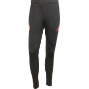 Hlače adida FC Bayern Tiro25 European Competition Training Pant 2025/26