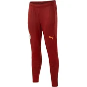 Hlače Puma GSK Training Pants 2024/25